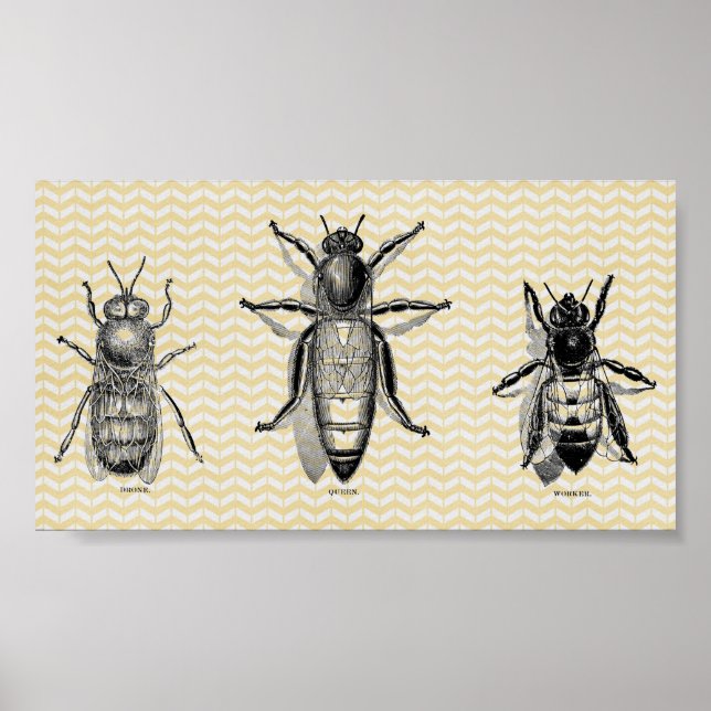 Pôster Vintage Bee Art (Frente)
