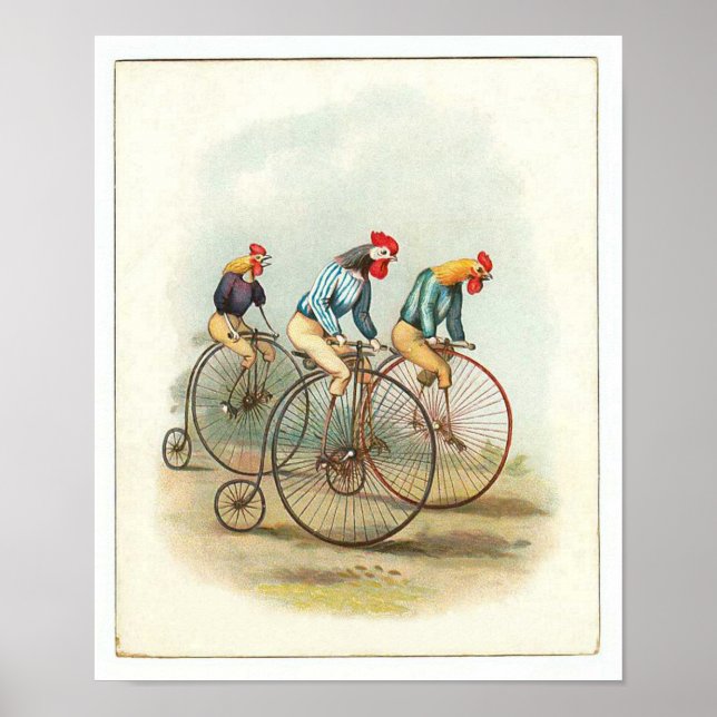 Poster Vintage Bicycle Poster, Pennyfarthing Roosters (Frente)