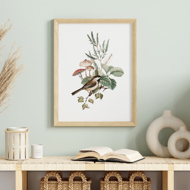 Poster Vintage Bird and Mushroom Botanical (Criador carregado)