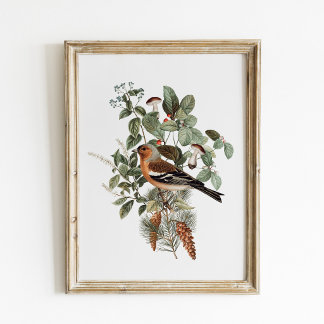 Poster Vintage Bird and Mushroom Botanical