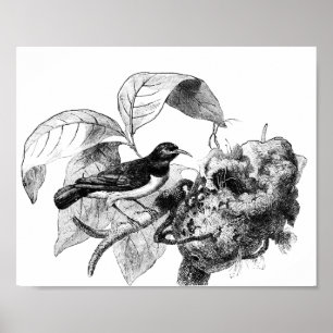 Poster vintage bird com ilustração de nest tree art