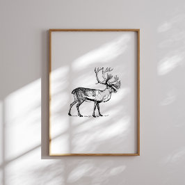 Poster Vintage Black and White Reindeer Christmas Wall