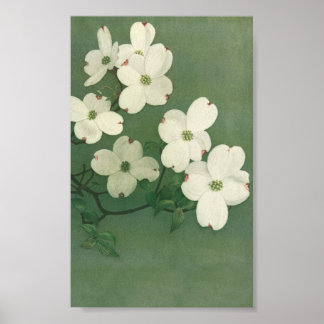 Poster Vintage Blossom