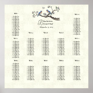 Pôster Vintage Bluebird Coral e Blue Seating Chart