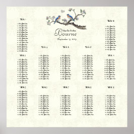 Pôster Vintage Bluebird Coral e Blue Seating Chart