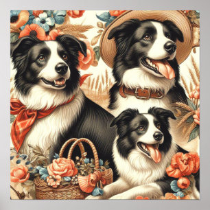 Poster Vintage Border Collie Painting