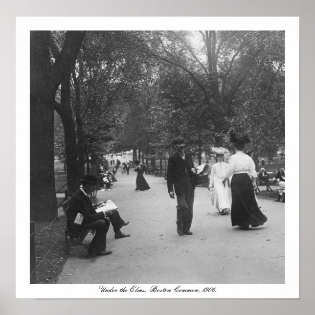 Pôster Vintage Boston Common, Sob Elms, EUA (Frente)