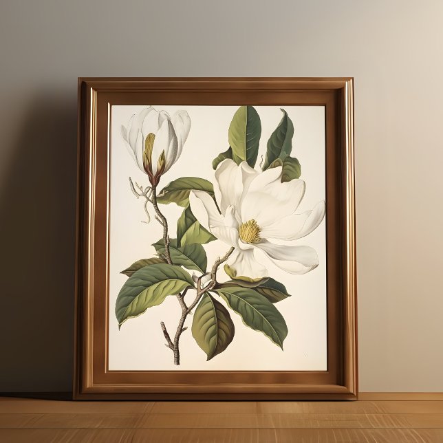 Poster Vintage Botanical (Vintage white flower print is shown in a wooden frame.)