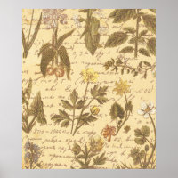 Vintage Botanical Floral