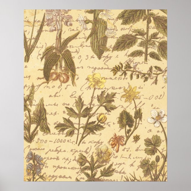 Poster Vintage Botanical Floral (Frente)