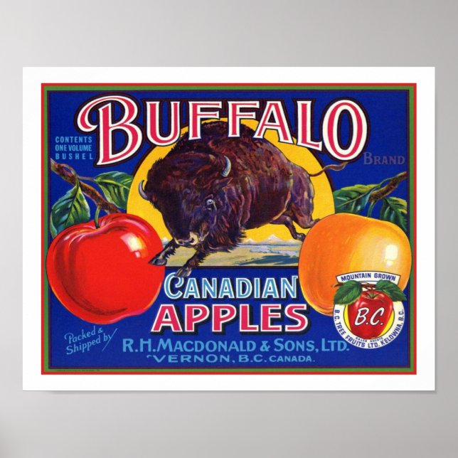 Poster Vintage Buffalo - Maçãs Canadianas (Frente)
