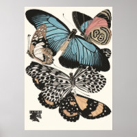 Vintage Butterflies E.A. Séguy
