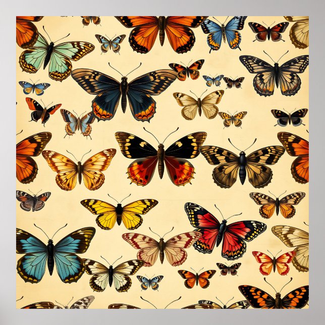 Poster Vintage Butterfly Collection Pattern (Frente)