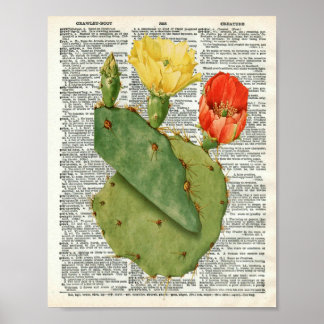 Poster Vintage Cactus Botanical Art on Dictionary Page 11