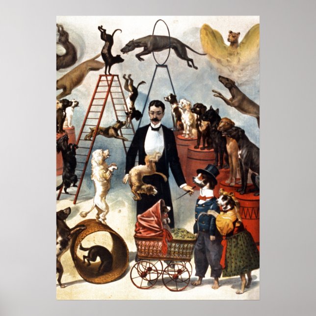 Poster Vintage Cães Circus Ilustração Arte Antiga Antigui (Frente)