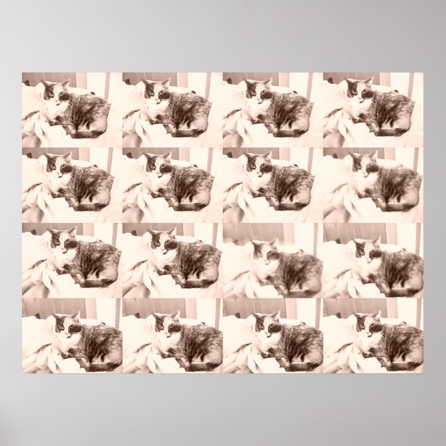 Pôster Vintage Calico Cat (Frente)