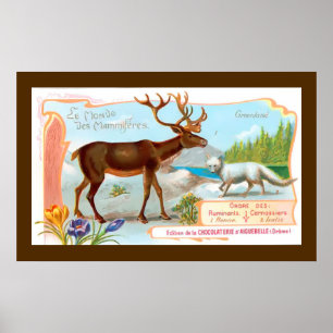 Poster Vintage Cariou (Reindeer) e Raposa Árctica