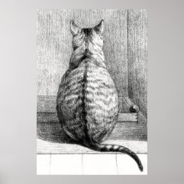 Poster Vintage Cat Sketch Art Drawing