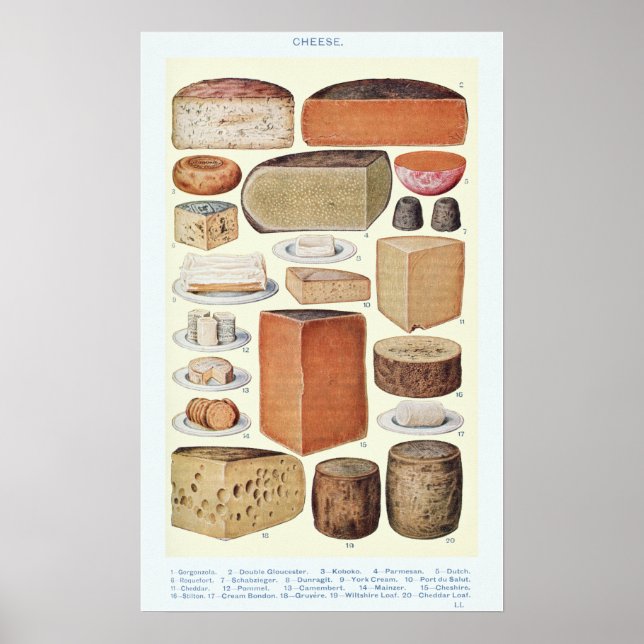 Poster Vintage Cheese Chart (Frente)