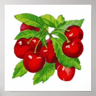Pôster Vintage Cherry Wall Decor
