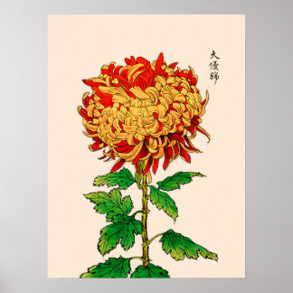 Poster Vintage Chrysanthemum Japonês. Dourado e laranja