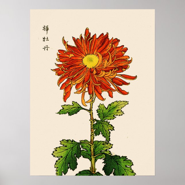 Poster Vintage Chrysanthemum Japonês. Laranja e Dourado (Frente)