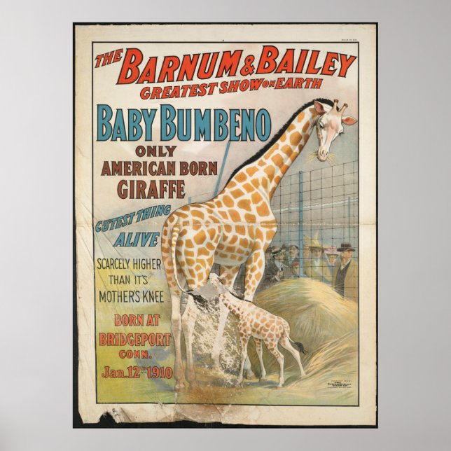 Poster Vintage: circo Barnum & Bailey - (Frente)