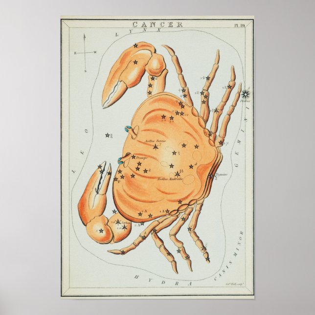 Poster Vintage Constellation Illustration (Frente)