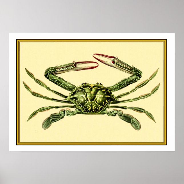 Poster Vintage Crab (Frente)