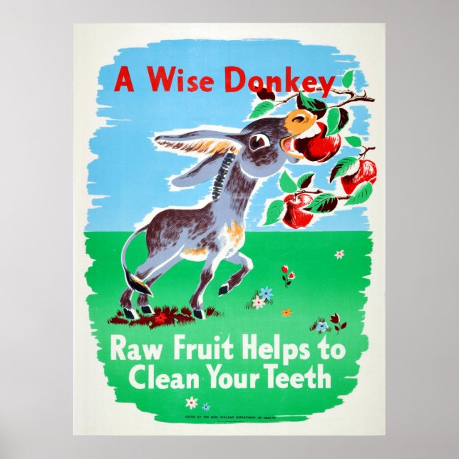 Poster Vintage Dental Raw Fruta Limpa Dentes Saúde Donkey (Frente)