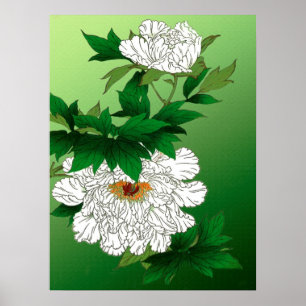 Pôster Vintage - Desenho Japonês de Large White Peony