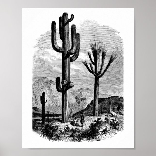 Poster Vintage desert Landscape Ilustração Arte (Frente)