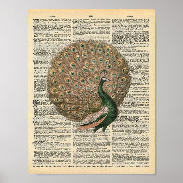 Poster Vintage Dictionary Art BeauLinda Peacock Bird (Frente)