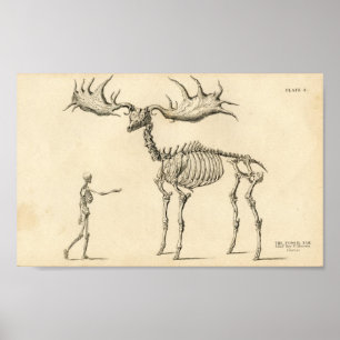 Poster vintage do homem & dos alces