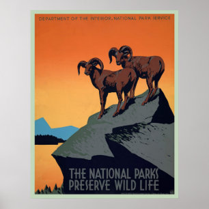 Poster vintage do Parque Nacional