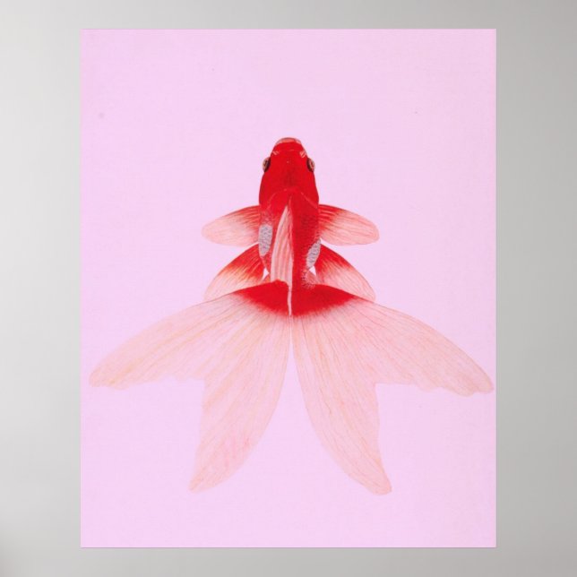 Poster Vintage Dourada Fish Wallart (Frente)