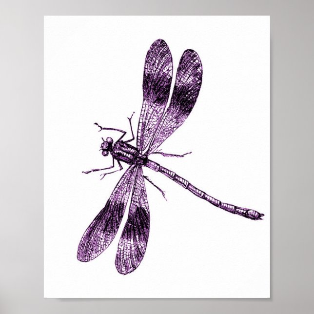 Poster Vintage Dragonfly - Rosa (Frente)