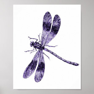 Poster Vintage Dragonfly - Roxo