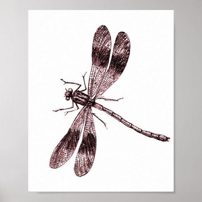 Poster Vintage Dragonfly - Vermelho (Frente)