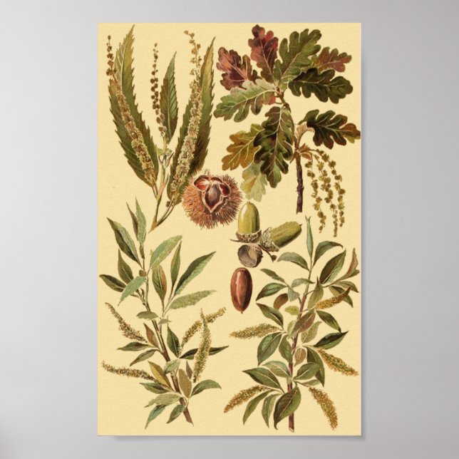 Poster Vintage educacional (Frente)