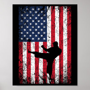 Poster Vintage Estados Unidos Bandeira Americana Karate 4