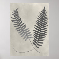 Vintage Ferns