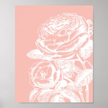 Vintage Floral Illustração Botânica Rosa Esmagada
