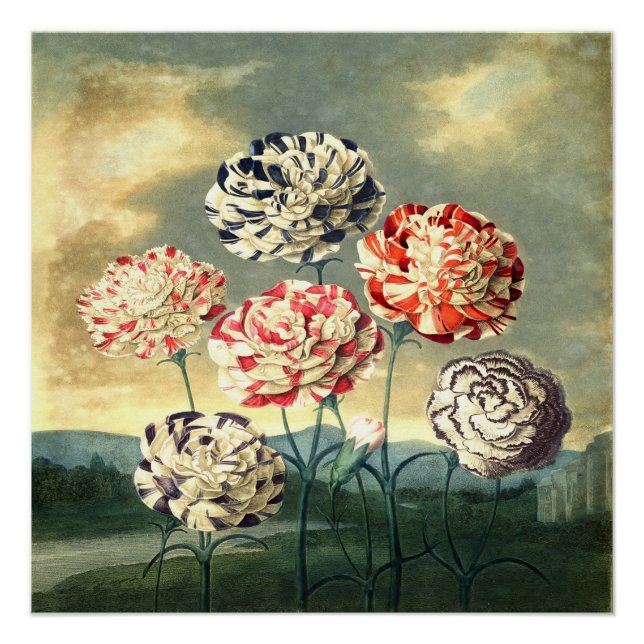 Pôster Vintage Floral Poster (Frente)