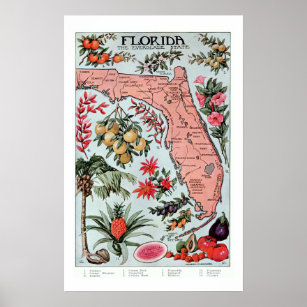 Poster Vintage Florida Everglade State Frutas e Flores