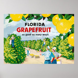 Poster vintage Florida Grapefruit 1930
