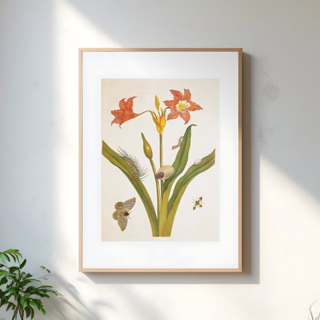 Poster Vintage Flower Plant Botanical Illustration (Criador carregado)