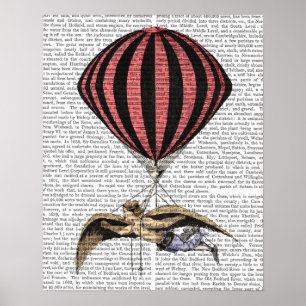 Pôster Vintage Flying Machine