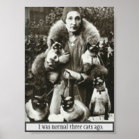 Vintage Foto de Mulher e 5 Gatos Siameses,