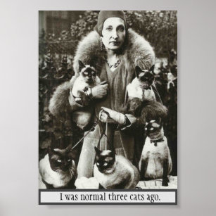 Poster Vintage Foto de Mulher e 5 Gatos Siameses,